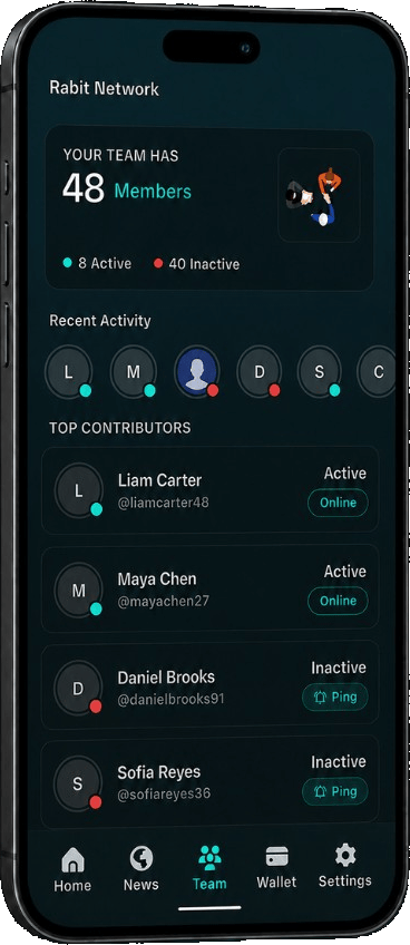Rabit Network team screen